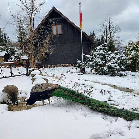 Beskidzka Ostoja Koszarawa Kültér fotó